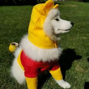 Fundraising Page: Joan Johnson-Freese